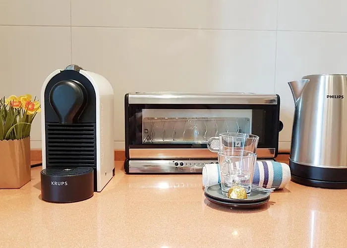 Apartment Urbieta Centro